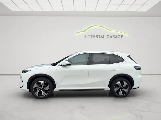 Geely Max+ Beste Ausstattung!