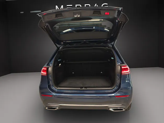 MERCEDES-BENZ B 200 4M Progressive