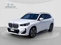 BMW X1 U11 30e xDrive paddles