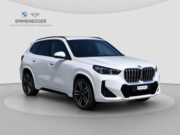 BMW X1 U11 30e xDrive paddles