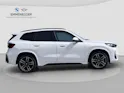 BMW X1 U11 30e xDrive paddles
