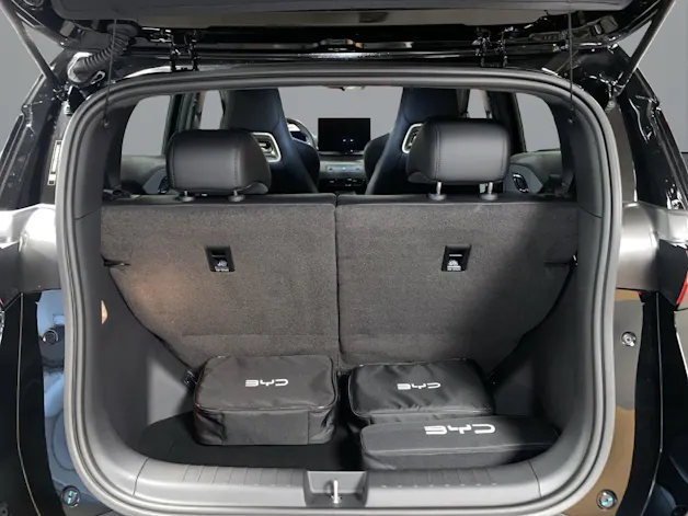 BYD Dolphin Surf Comfort