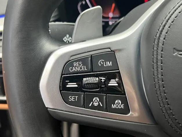BMW 5er Reihe G30 520d xDrive paddles