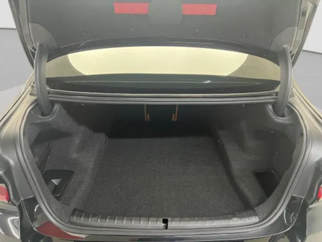 BMW 5er Reihe G30 520d xDrive paddles
