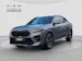 BMW X2 U10 20d xDrive paddles