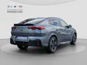BMW X2 U10 20d xDrive paddles