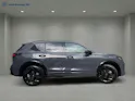 VW Tiguan 2.0 TSI DSG R-Line Plus 4Motion