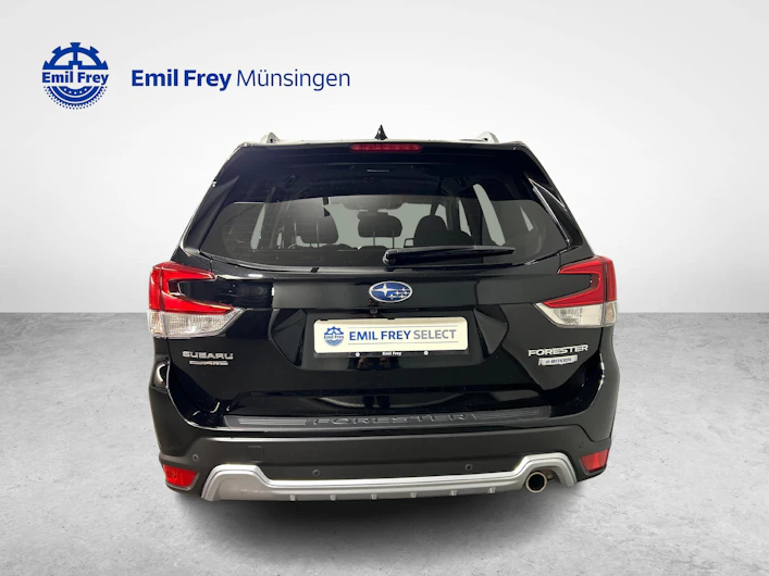 immagine del veicolo SUBARU FORESTER