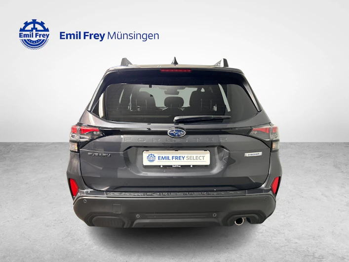 immagine del veicolo SUBARU FORESTER
