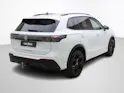 VW Tiguan 2.0 TSI DSG R-Line Black Style 4Motion