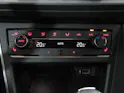 VW Polo 2.0 TSI GTI DSG