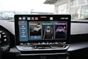 CUPRA Formentor 2.0TSI VZ 4Drive DSG 333PS + AHK 1800kg