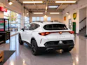 CUPRA Formentor 2.0TSI VZ 4Drive DSG 333PS + AHK 1800kg