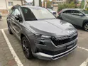 SKODA Karoq 2.0 TSI SportLine 4x4 DSG