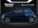 FIAT 500 Icon