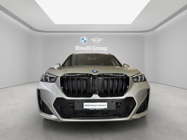 BMW X1 U11 30e xDrive paddles