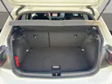 VW Polo 2.0 TSI GTI DSG
