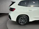 BMW X1 U11 20d xDrive paddles