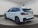 BMW X1 U11 20d xDrive paddles