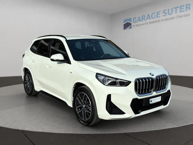 BMW X1 U11 20d xDrive paddles