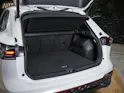 VW Tiguan 2.0 TDI SCR R-Line 4Motion DSG *Panorama*Massage*Lenkradheizung*360° Kamera*
