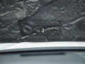 VW Tiguan 2.0 TDI SCR R-Line 4Motion DSG *Panorama*Massage*Lenkradheizung*360° Kamera*