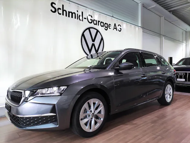 SKODA Octavia Combi 2.0 TSI Selection 4x4 DSG Lodge