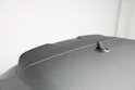 AUDI RS3 Sportback 2.5 TSI quattro S-tronic *Daytonagrau Polarmatt* *KW Gewindefahrwerk* *Carbon*
