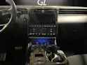 HYUNDAI Tucson 1.6 TGDI HEV N Line LUX pack 4WD