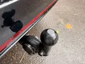 VW ID.7 Tourer Pro 286 PS ***ANHÄNGERKUPPLUNG***