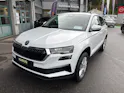 SKODA Karoq 2.0 TDI CR Selection 4x4 DSG