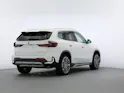 BMW X1 U11 30e xDrive
