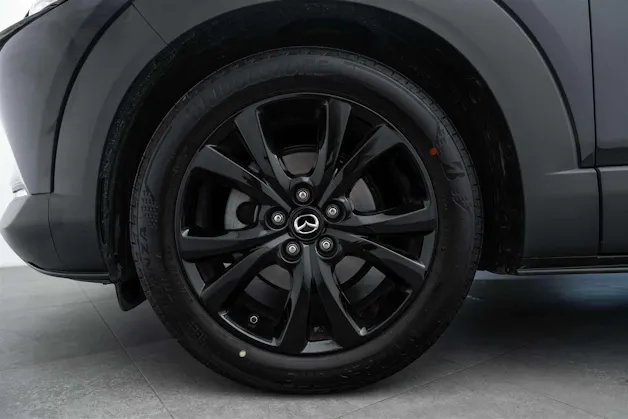 MAZDA MAZDA CX-30 SKYACTIV-G 140 MHEV Nagisa Automat