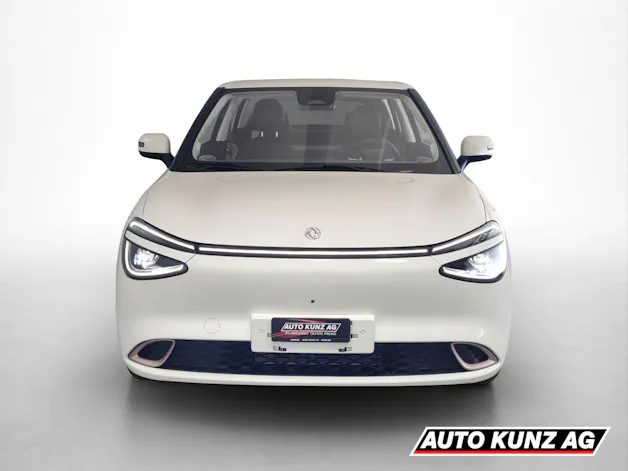 Dongfeng Box Electric Premium Edition