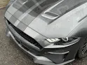FORD Mustang Fastback 5.0 V8 GT Automat🚀