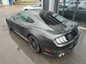 FORD Mustang Fastback 5.0 V8 GT Automat🚀