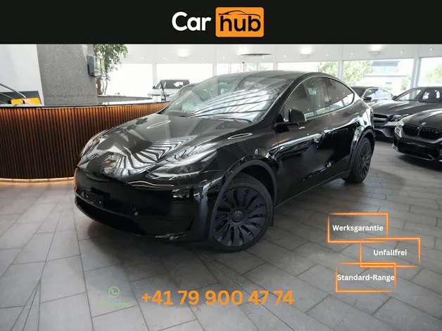 Tesla Model Y RWD