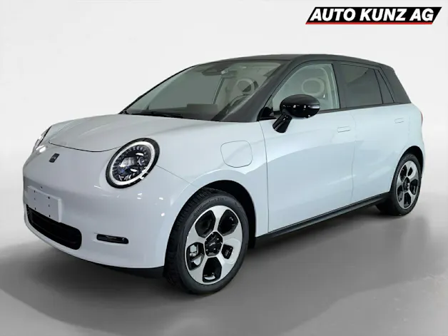 JAC E30X Elektro 51 kWh 374km Reichweite