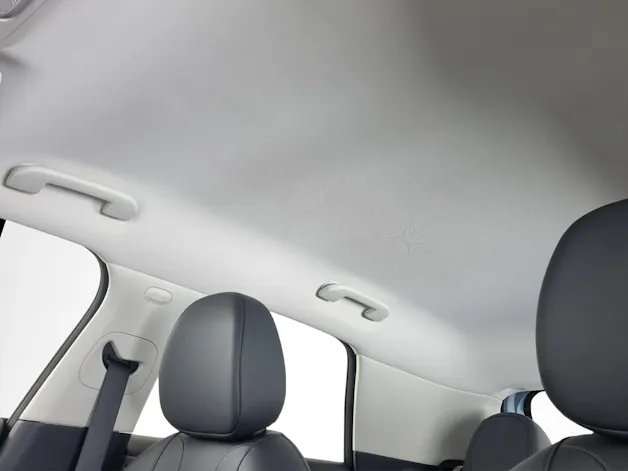 Dongfeng Box Electric Premium Edition
