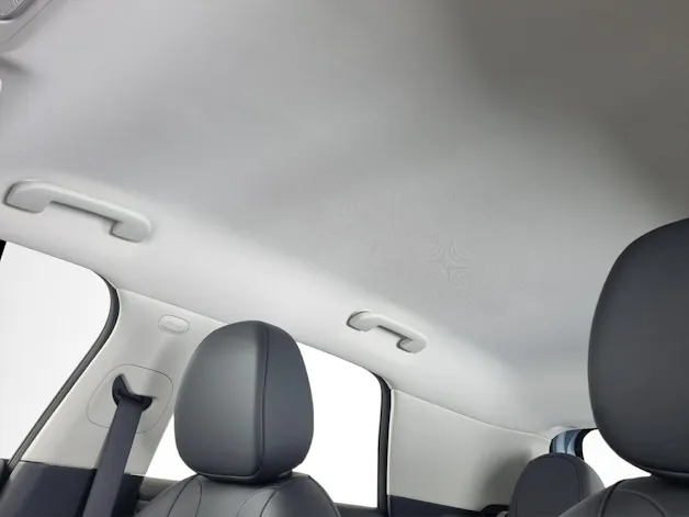 Dongfeng Box Electric Premium Edition