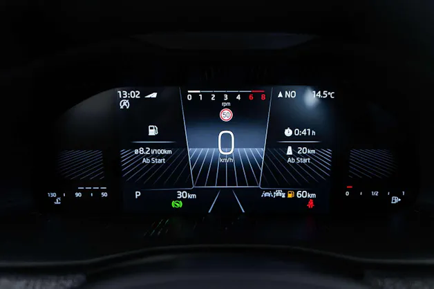 SKODA Skoda Kamiq 1.0 TSi Selection Black DSG-Automat