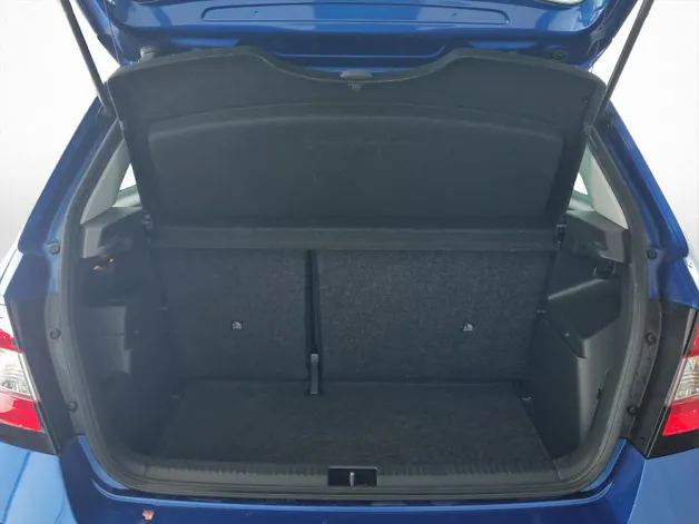 SKODA Fabia 1.2 TSI Ambition DSG Swiss Edition