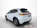 Geely STARRAY EM-i LAUNCH EDITION