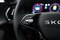 SKODA SKODA Kodiaq 2.0 TSi RS 266PS 7-Plätzer 4x4 DSG-Automat
