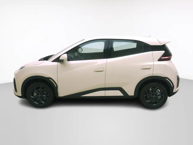 BYD Dolphin Surf Boost