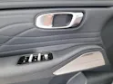 Geely STARRAY EM-i LAUNCH EDITION