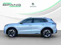 VW Tiguan 2.0 TDI SCR R-Line 4Motion DSG