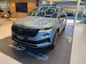 SKODA Karoq 1.5 TSi SportLine DSG-Automat